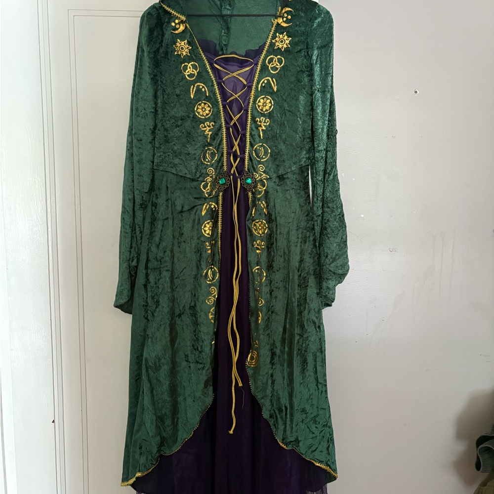 Hocus Pocus Sanderson Sisters Costumes - Picture 6 of 11